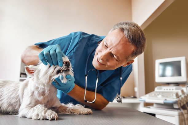  Colleyville, TX Emergency Dentist Pros